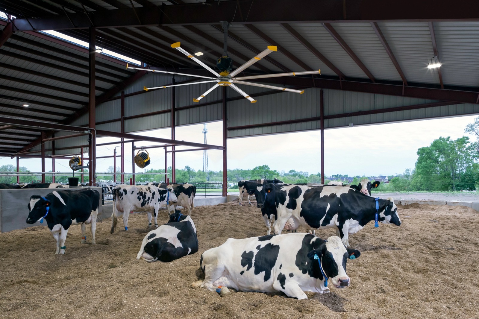 Agriculture and livestock